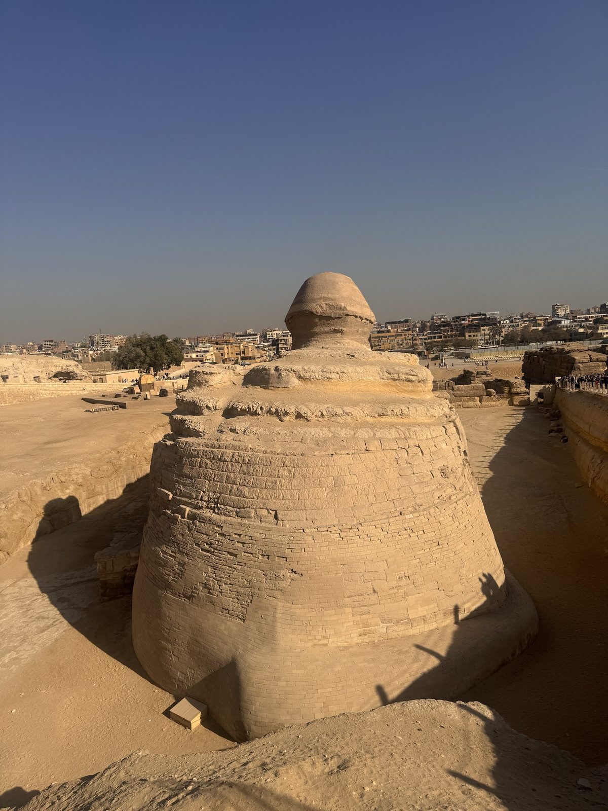 Close view of the Sphinx showing weathered rock texture on its upper surface