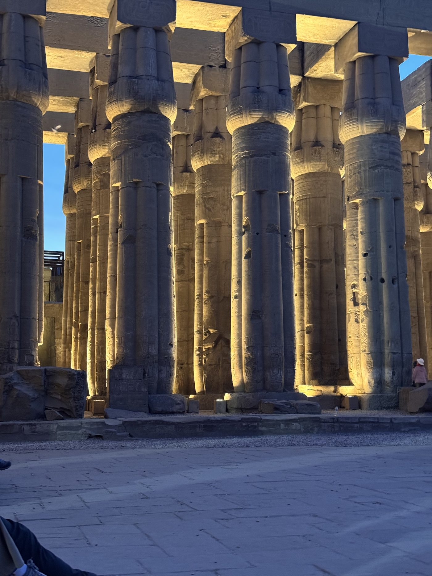 The papyrus-bundle columns of the Great Colonnade at Luxor Temple, lit gold in the evening