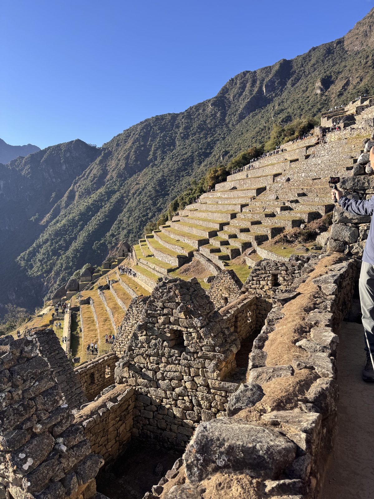 Curved agricultural terraces at Machu Picchu